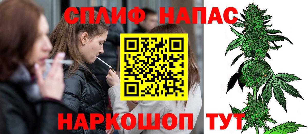 Каннабис конопля Выборг